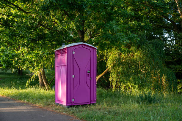 Portable Toilet Options We Offer in Princeville, IL